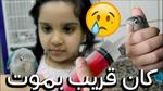 اشترينا حيوان اليف| شوفوا وش صار له ! 😥