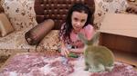 امريومة تريد حيوان أليف!!Play With Pets Animals