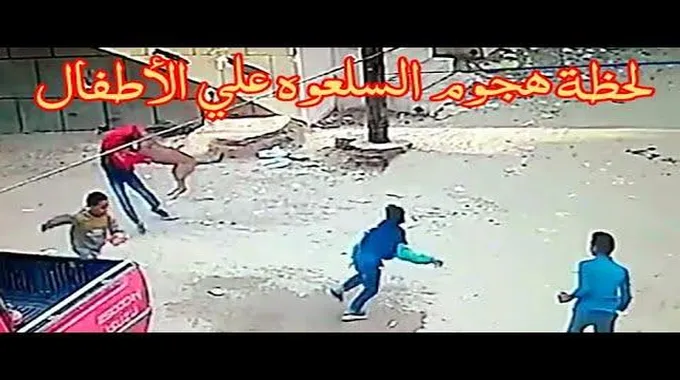 ظهور السلعوه من جديد في مصر | حيوان غريب يشبه