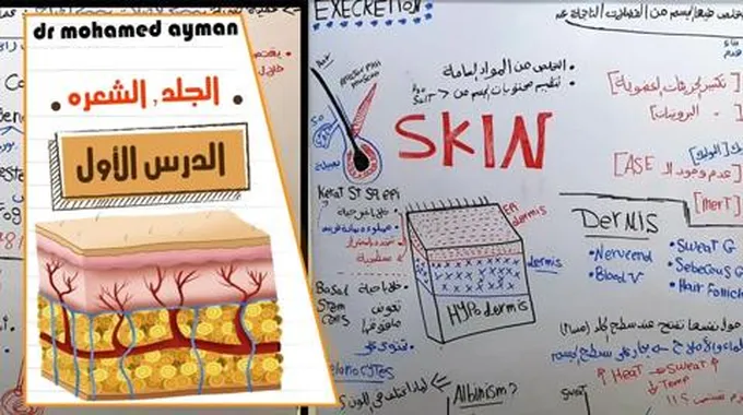 #أحياء_تانيه_ثانوى #الترم_الثانى |بداية المنهج