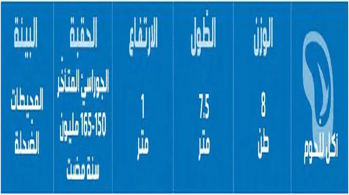 معلومات عن الحصان العربي