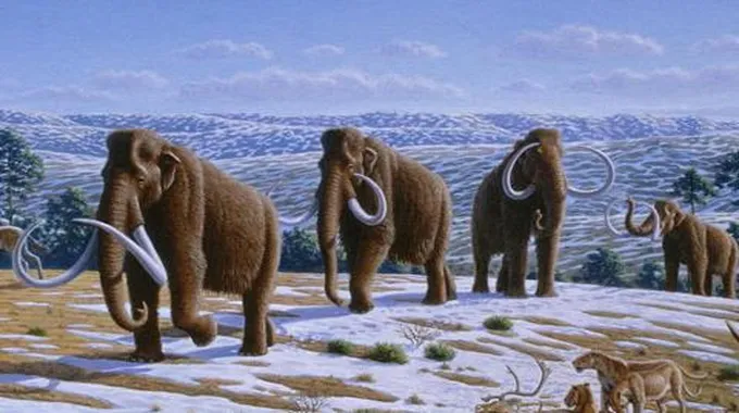 الماموث الصوفي Woolly Mammoth