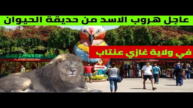 جولتنا في حديقة الحيوان في ايطاليا👍👍🛎👉🏻